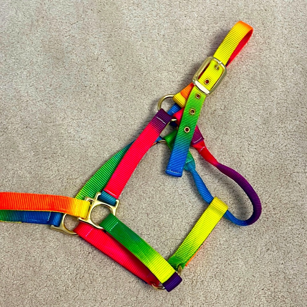 Valhoma medium horse halter